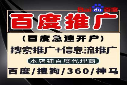 搜索引擎营销（SEM）托管服务在某企业的成功应用